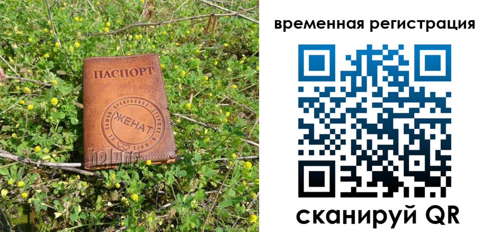 прописка регистрация в Белово